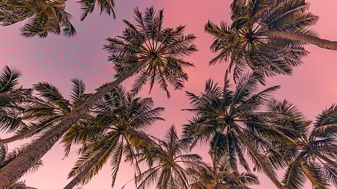 A Coastal Journey Through Florida’s Most Stylish Seaside Retreats