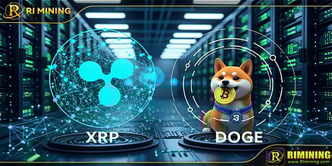 RIMining leads the cloud mining craze, XRP and DOGE players receive $23,500 in passive income every day