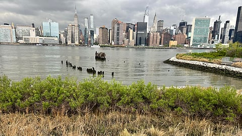 Hunter’s Point South Park