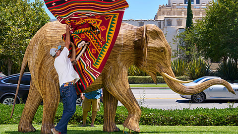 The Great Elephant Migration Wrapped in History