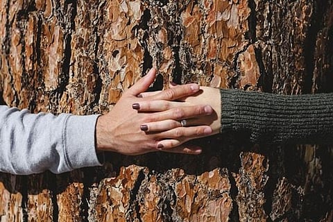 Sustainable Indulgence: Living Well Without Compromise
