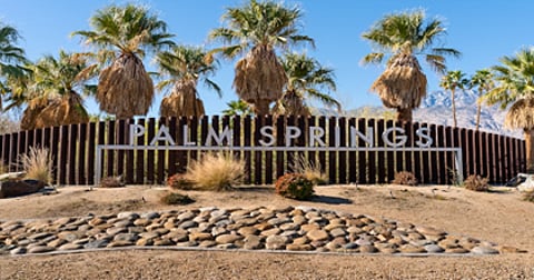 Fun Activities to Try in Palm Springs