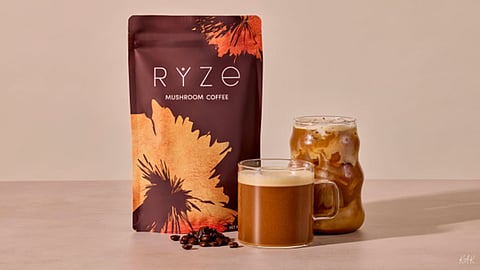 Exploring Natural Plant-Based Wellness for Mind and Body Balance