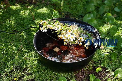 Make Your Own Backyard Water Fountain With Cool Ideas