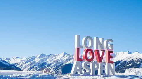 Long Love Aspen Art