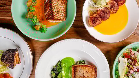 Colorful seafood dishes and salads plated on wood table at Delilah Miami