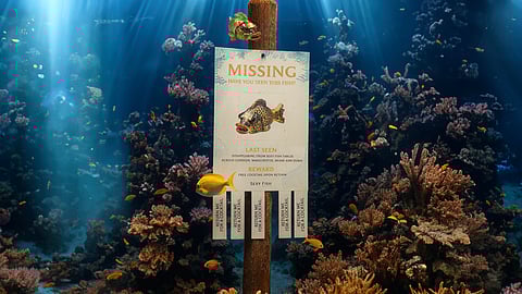 Underwater Missing Sexy Fish Game Poster