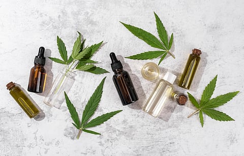 The Modern Guide to Choosing Clean, Farm-to-Table CBD Products