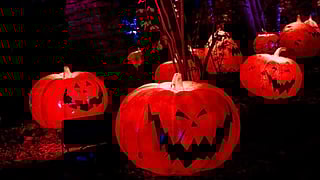 Tim Burton’s "The Nightmare Before Christmas" at New York Botanical Garden