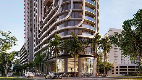 The Calta Group Anatomia