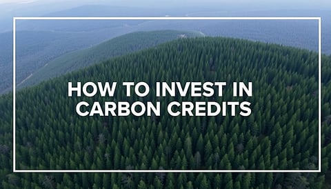 The Strategic Advantage of Carbon Credit Investments in Today's Market