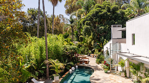 Poolside terrace surrounded by palm trees and greenery
