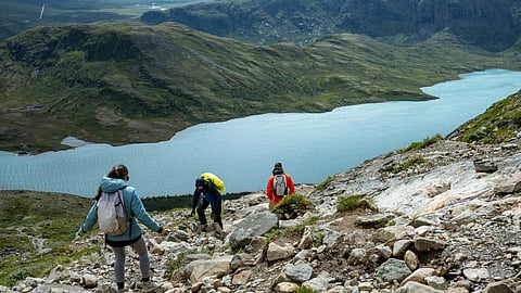 Arctic Rally oystering expedition