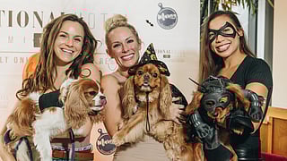 The Yappy Hour Halloween Edition - Pups and owners in costume
