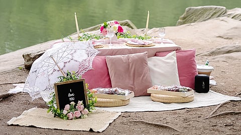 Elegant pink and white picnic setup by PikNYC and The Muse New York