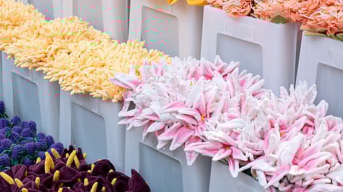 Rows of Cj Hendry’s plush flowers  fill the new SoHo flagship