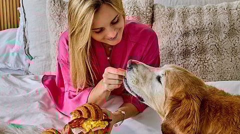 Samantha Schnur feeding her golden retriever croissants in bed