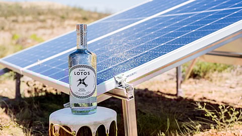 Casa Lotos Sotol bottle beside solar panels in the desert of Chihuahua