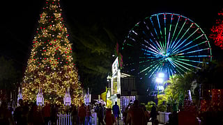 Crowds walking by a lit Christmas tree and Ferris wheel at night