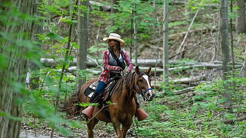 Pathways on Pleasure Valley Horseback Riding near Whitby