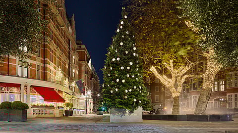 The Connaught Christmas Tree