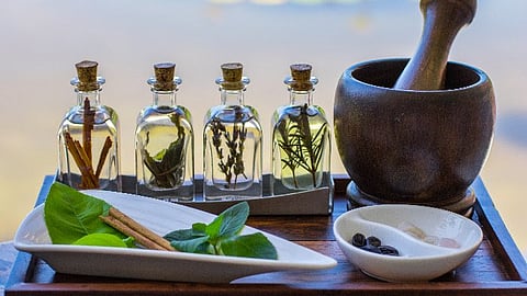 Casa Velas Unveils New Botanical Garden Workshop