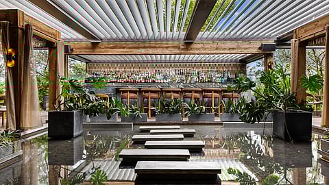 Rooftop bar at Mila Miami with stepping stones over reflective water and lush greenery