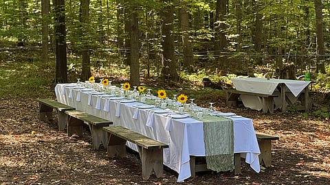Dining Table at Heartwood Farm & Cidery