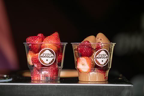 Fairchild Tropical Botanic Garden Presents the 19th Annual A Festival of Chocolate