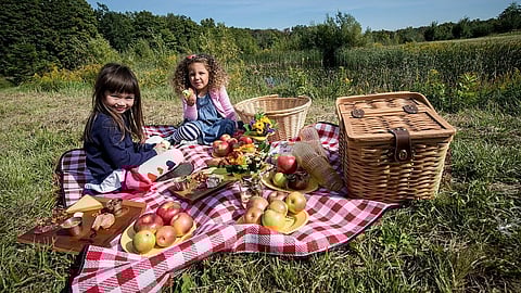 Children enjoying a picnic with apples and baskets in a grassy meadow