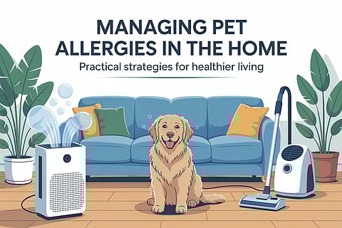 Managing Pet Allergies in the Home – Practical Strategies for Healthier Living