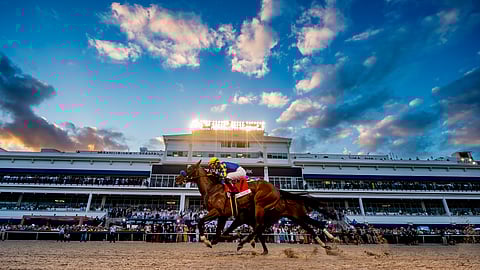 Racehorses sprint past the grandstand at Gulfstream Park during the Pegasus World Cup