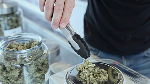 Cannabis flower being weighed on a digital scale at a retail counter