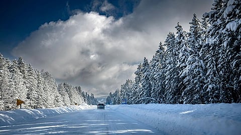 Navigating Winter Travel: How Nexus Auto Transport Simplifies Car Shipping for Your Seasonal Moves