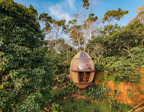 Cocooned in Elegance: Lucila Aguilar Arquitectos Wins Best Sustainable Hotel Architecture in Mexico