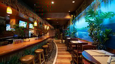 Interior of the Survivor Ultimate Fan Cafe at Jungle Island in Miami