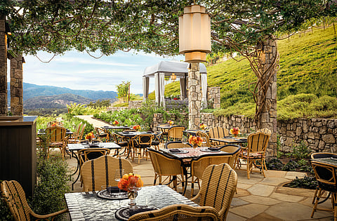 North Patio at Lewis Cellars, where stone terraces and vine-draped pergolas open westward
