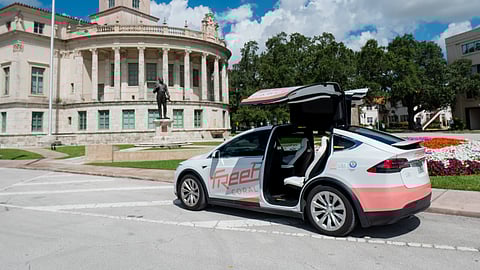Freebee in Coral Gables