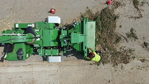 Why Luxury Homeowners Invest In Professional Tree Care Services