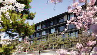 Cherry Blossoms at HOTEL THE MITSUI KYOTO