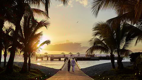Couple walking along palm-lined pier at sunset over ocean