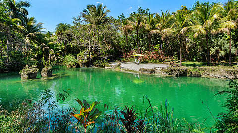 Emerald grotto pool with waterfall and palms in tropical estate