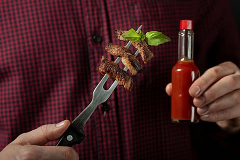 Grilled steak and chicken skewers paired with a bottle of barbecue sauce