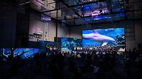 Large-scale event with stage performance and pink dolphin visuals