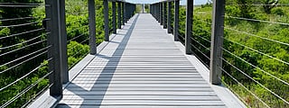 A scenic elevated boardwalk beneath a bright blue Hamptons sky