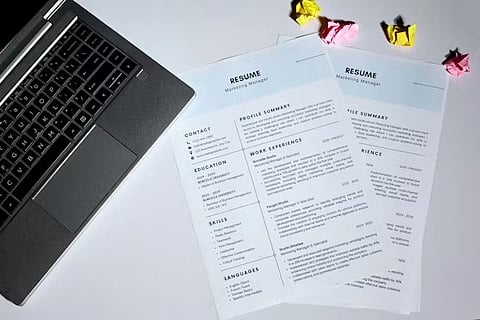 a professional resume template