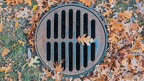 a storm drain grate or catch basin cover