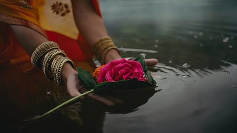 Traveler places a pink rose into calm water during a cultural ritual