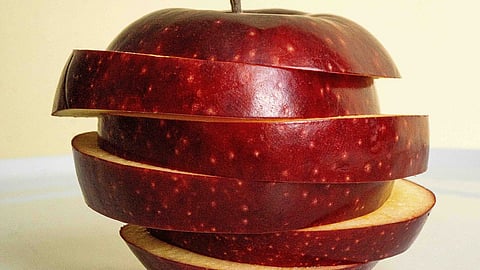 Sliced red apple representing Ontario’s Apple Pie Trail and orchard culture