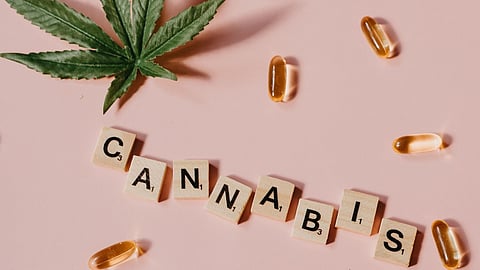Cannabis Pain Treatment